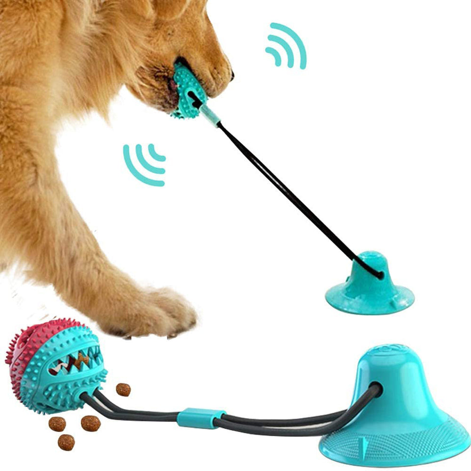 Dog Toys