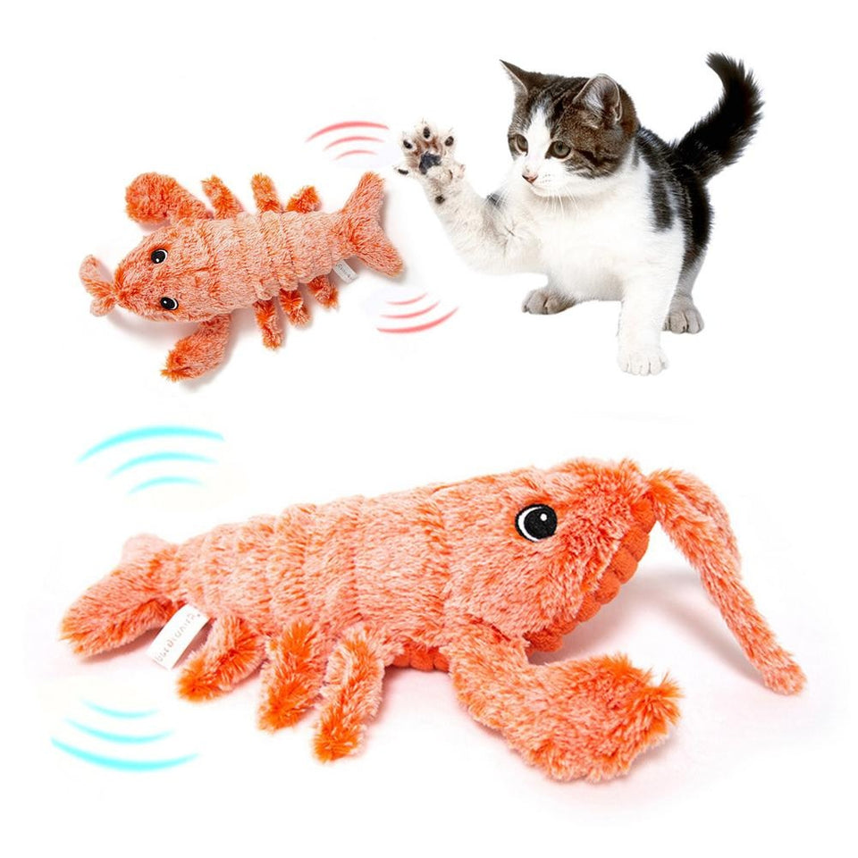 Cat Toys